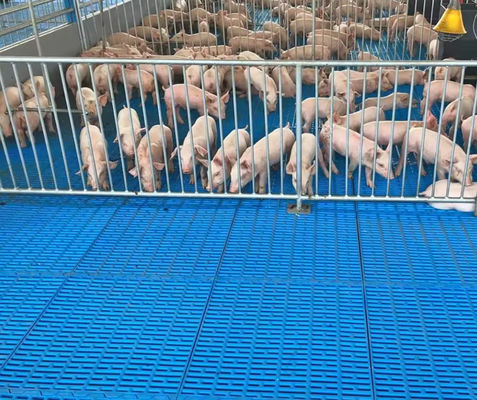 Hoge sterkte glasvezel vloerrooster FRP gegoten rooster voor varkens kip schapen