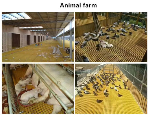 Makkelijk schoon beschermende FRP rooster GRP Pultruded vloerrooster 38x38mm lange levensduur