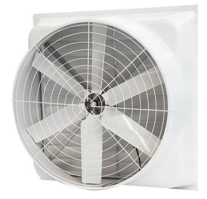 Wandgebouwde FRP negatieve drukventilator dakventilatie glasvezel uitlaatventilator