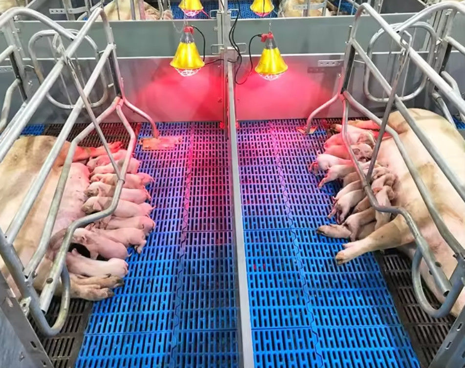 Hoge sterkte glasvezel vloerrooster FRP gegoten rooster voor varkens kip schapen